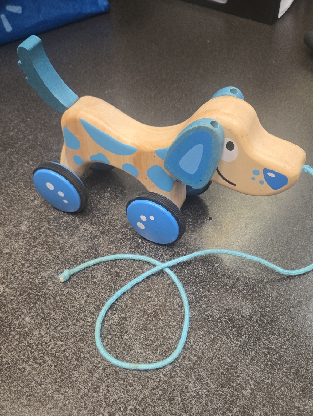 Wooden Pull-Along Dog Toy in Natural Wood and Blue